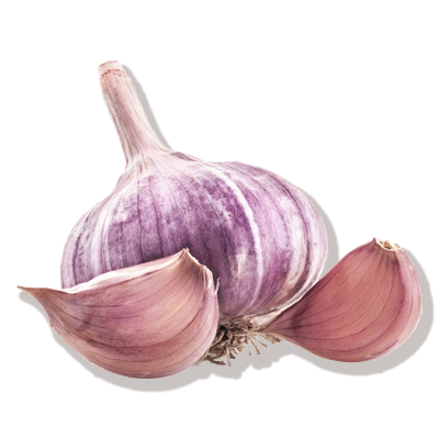 Cabeza de ajo y dientes de ajo morado IGP Las Pedroñeras Cumarli