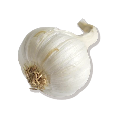 Ajo spring blanco solo Cumarli, Las Pedroñeras